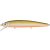 STRIKE PRO inquisitor suspending 11cm/18.9g  a70-613-sbo