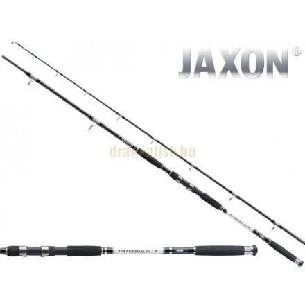 JAXON intensa gtx cat fish rod 2,55m up to 500g 2