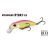 SPEARHEAD RYUKI 51
