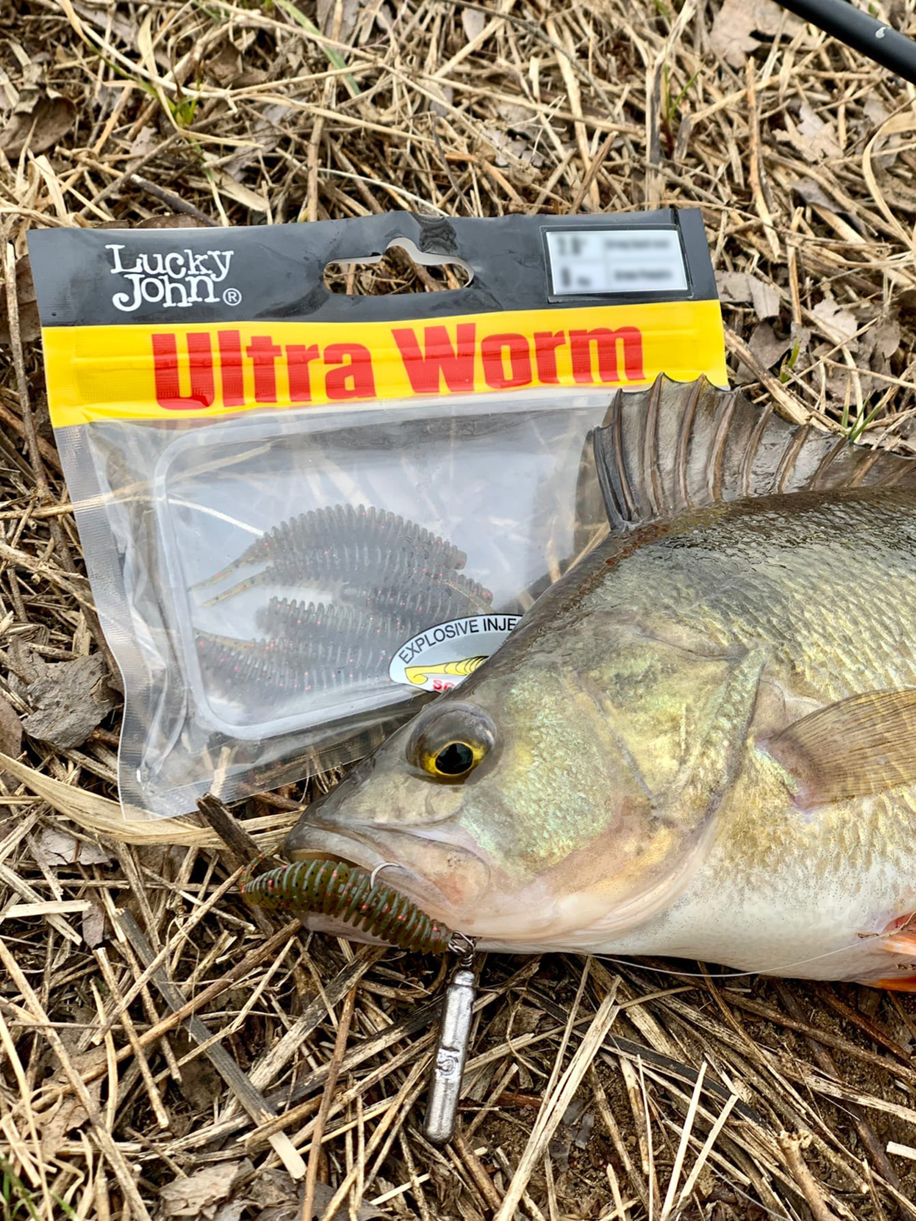 LUCKY JOHN ULTRA WORM